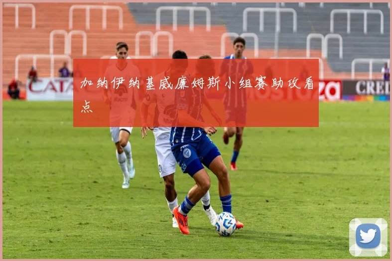 加纳伊纳基威廉姆斯小组赛助攻看点