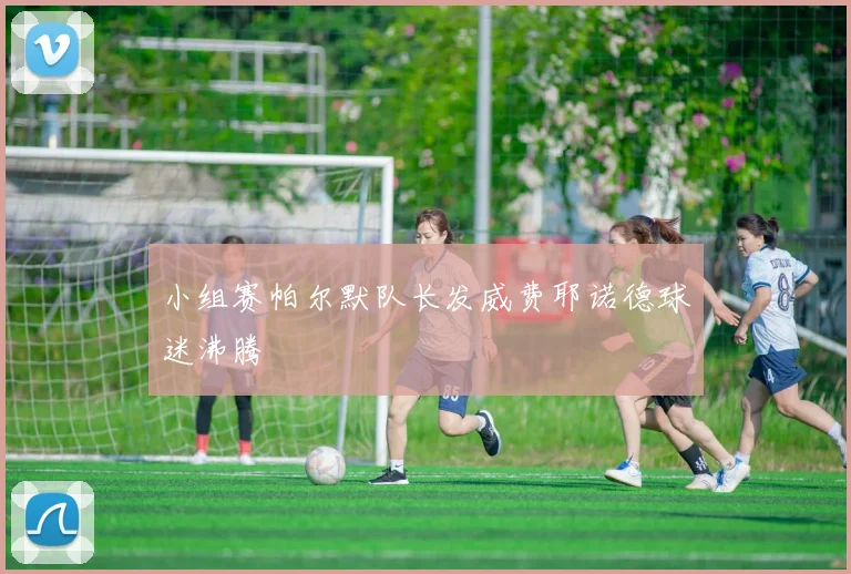 小组赛帕尔默队长发威费耶诺德球迷沸腾