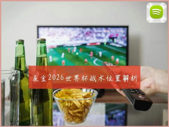 麦金2026世界杯战术位置解析
