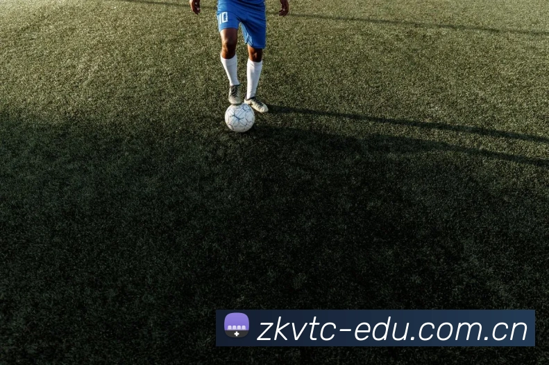 九游体育 (中国大陆)官方网站 - JIUYOUSPORTS未来规划