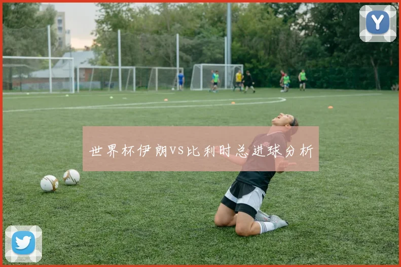 世界杯伊朗vs比利时总进球分析
