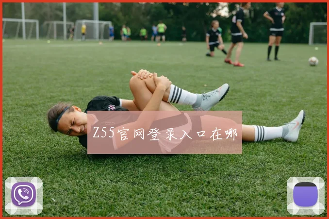 Z55官网登录入口在哪