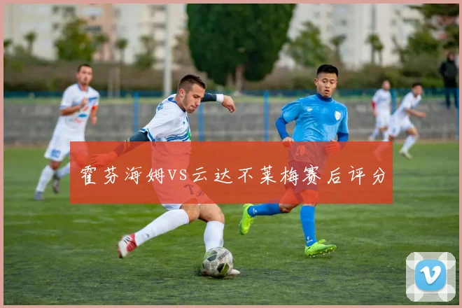 霍芬海姆vs云达不莱梅赛后评分