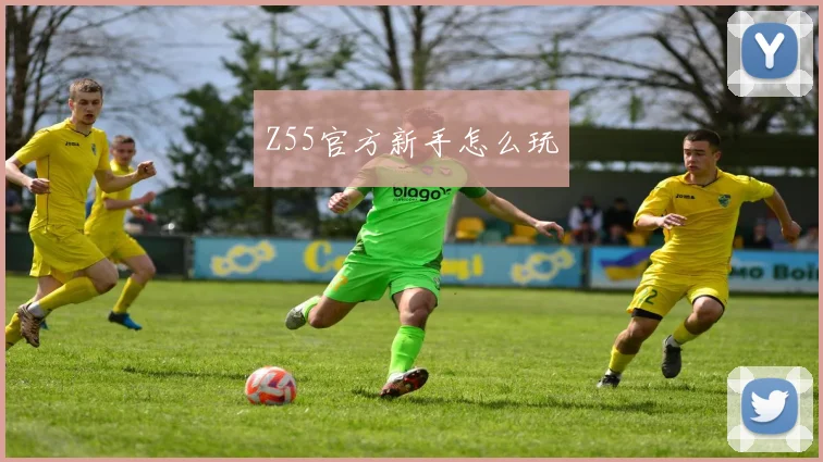 Z55官方新手怎么玩